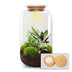 Eternal Terrarium XL DIY Set: Self-Sufficient Ecosystem for Your Home Bild 1