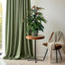 Ficus Binnendijkii 'Amstel King' P17 - 75cm - Elegant Houseplant Bild 4