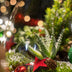 Frosty Kerstmis terrarium - Planten terrarium  DIY kit Christmas -  -  Ø 17 cm ↑ 25 cm Bild 2