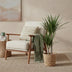 Dracaena Marginata (Dragon Tree) Pot 21cm, H: 90-100cm, Green Bild 5