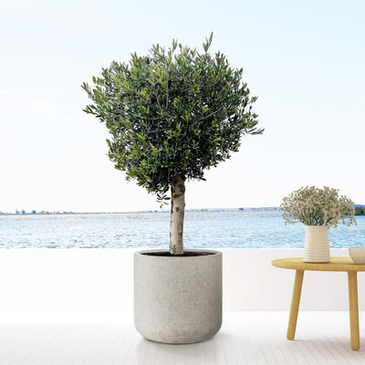 Jumbo Charlie Beige Planter Washed XS D62xH60 Fiberstone