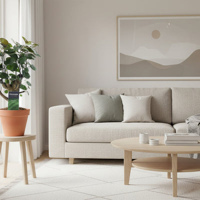 Polyscias Fabian, 45 cm, Grün, Glänzend – Dekorativer Blickfang