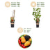 Green boutiQ Obstpflanzen Mix: Rote Johannisbeere, Schwarze & Gelbe Himbeere Bild 4