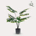 Artificial Plant - Monstera Deliciosa - Swiss Cheese Plant - 65 cm Bild 3