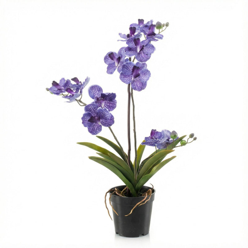 Vanda Kunstorchidee Lila, 60 cm, im Topf - Pflegeleicht & Dekorativ