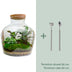 Bottle garden - Fat Joe - ↕ 30 cm - Rake + shovel Bild 4