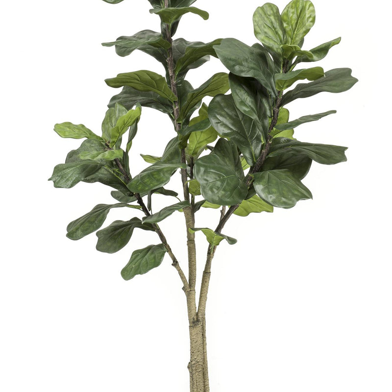 Artificial Plant Ficus Lyrata (Fiddle-Leaf Fig) 180 cm