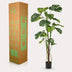 Kunstpflanze Monstera – 180 cm – Grüne Deko für Ihr Zuhause Bild 5