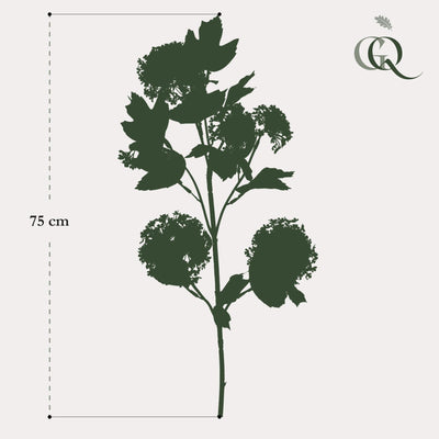 Kunstblumen Solo Viburnum Opulus Zweige Creme 75 cm x 4