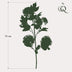 Kunstblumen Solo Viburnum Opulus Zweige Creme 75 cm x 4 Bild 2