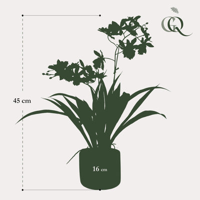 Künstliche Orchidee Gelb/Braun, 45cm – Langlebig & Pflegeleicht