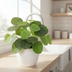 Künstliche Pilea Peperomioides (17,5 cm) - Pflegeleichte Deko Bild 2