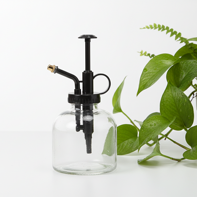 Pflanzensprüher Glas transparent, 0,2L - Für zarte Pflege