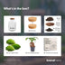 Flaschengarten DIY Set mit Bonsai & Moos Bild 4