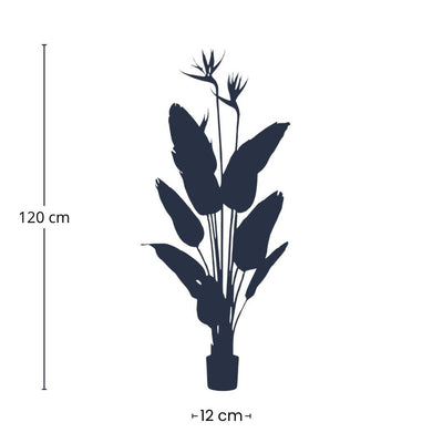 Künstliche Strelitzia (Paradiesvogelblume) 120 cm, orange Blüten, schwarzer Topf
