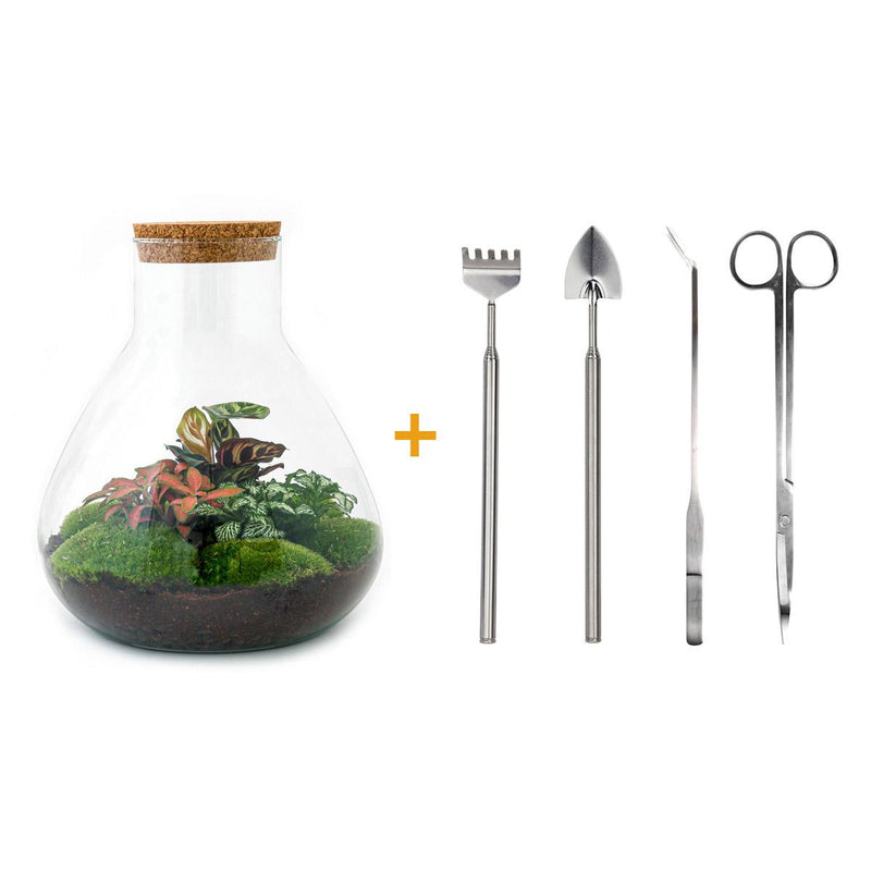 Bottle Garden Sam XL Red DIY Kit with Tools