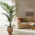 Künstliche Kentia Palme 210 cm – Tropisches Flair ohne Pflegeaufwand Bild 4