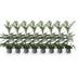 GreenboutiQ Leylandii Hedging Plants: 8 Plants for 1m of Hedge Bild 2