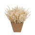 Dried Flowers Mono Mix White 50cm Bild 1