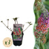 Green boutiQ - Schmetterlingsstrauch - Buddleja davidii Flower Power - Blüte Orange Lila - 3 Pflanzen - 1m2 - Laubabwerfend - Schmetterlingsanziehend - Topf 17cm Höhe Bild 1