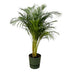 Areca Palm (130cm) incl. elho Greenville Pot green Bild 1