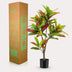 Kunstpflanze Croton Codiaeum (Wunderstrauch), 95 cm, bunte Blätter Bild 5
