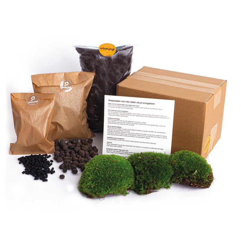 Terrarium Starter- & Nachfüllpaket L/XL - DIY & Pflege