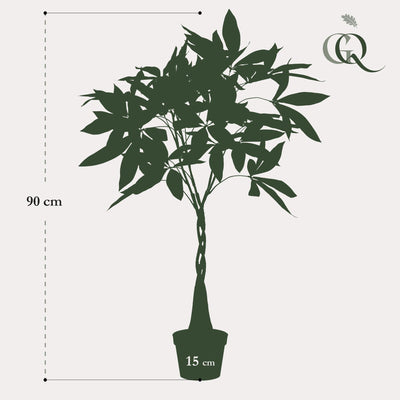 Künstliche Pachira Aquatica (Geldbaum) - 90 cm - Lebensecht & pflegeleicht