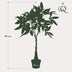 Künstliche Pachira Aquatica (Geldbaum) - 90 cm - Lebensecht & pflegeleicht Bild 2