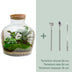 Bottle Garden DIY Kit: Fat Joe with Plants & Tools Bild 4