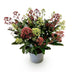 GreenboutiQ - Terrassenpflanze - Skimmia japonica Festival - Blüte Weiß & Rot - 15+ Blüten - 1 Pflanze - Winterhart - Topf 15cm Höhe 30cm Bild 2