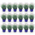 18x Lavendel 'Hidcote' - Winterhart, Lila, 20-25cm, Topf 12cm Bild 2