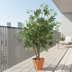 Artificial Japanese Maple, 100cm - Low-Maintenance Decoration Bild 2