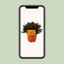 Peperomia Caperata Rosso – Attractive foliage, easy to care for, Ø11cm Bild 5
