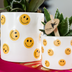 Kolibri Company | Smiley Plant Set | Yellow Phalaenopsis Albenga 9cm and Succulent including Ceramic Pots Bild 2