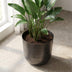 Topf Mayk Lead - D20: Eleganter Pflanztopf in Bleigrau Bild 5