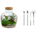 Flaschengarten DIY-Set: Fat Joe (30cm) mit Werkzeugen Bild 1