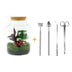 Flaschengarten DIY Set: 30cm hoch, inkl. Werkzeug & Pflanzen Bild 1