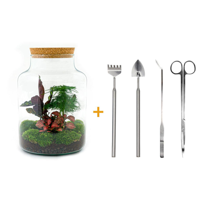 Flaschengarten DIY Set: 30cm hoch, inkl. Werkzeug & Pflanzen