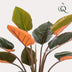 Künstlicher Philodendron, 120 cm Bild 4