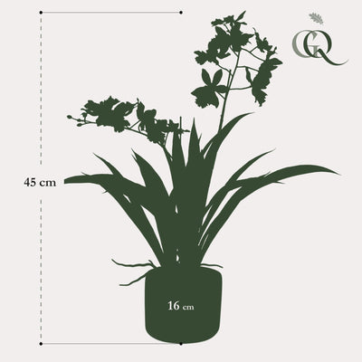 Künstliche Orchidee Weiß - 45cm - Lebensechte Deko für Ihr Zuhause