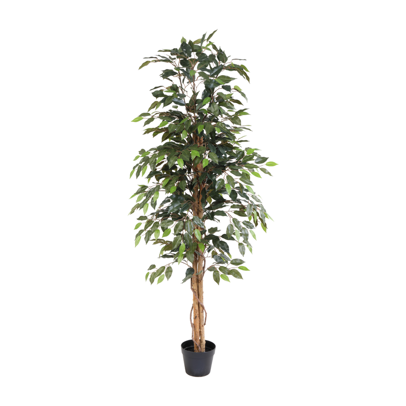 Künstlicher Ficus Benjamina Kunstbaum 160cm – Pflegeleicht & Dekorativ