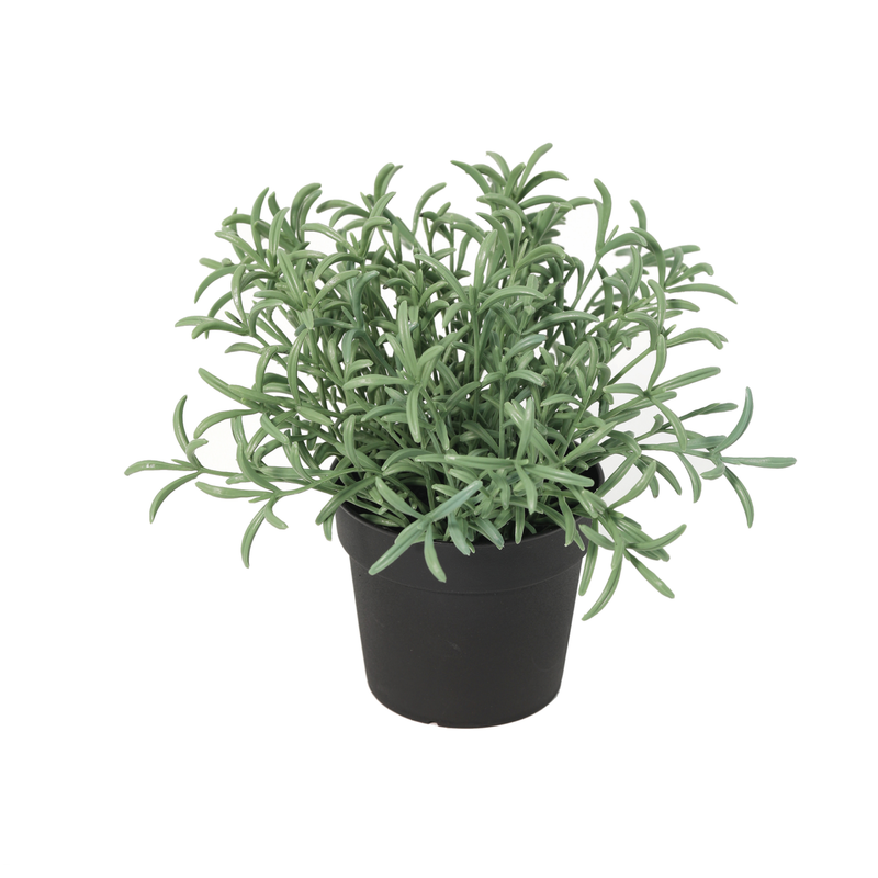 ARTIFICIAL Helichrysum italicum - 18cm Kunstpflanze
