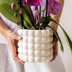Weiße Amabilis Orchidee Geschenkset mit Übertopf & Giftbox Bild 3