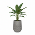 Pot Harith High S Diorite Grey - D40 x H48 Bild 3