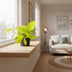 Golden Pothos Epipremnum aureum: easy-care & air-purifying Bild 3