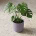 Elho Jazz Rund Topf D23cm Lavendel Flieder Matt Kunststoff Bild 4