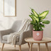 Dieffenbachia 'Camilla' im ELHO Vibes Fold Topf 14cm rosa Bild 3