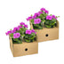 8x Hängegeranien Violett Ø12cm, Höhe 20cm Bild 4