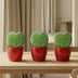 Sweetheart Plant Set: Heart-shaped plant in a red pot with a lollipop Bild 3